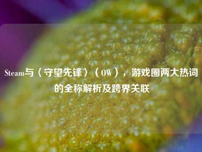 Steam与〈守望先锋〉（OW），游戏圈两大热词的全称解析及跨界关联