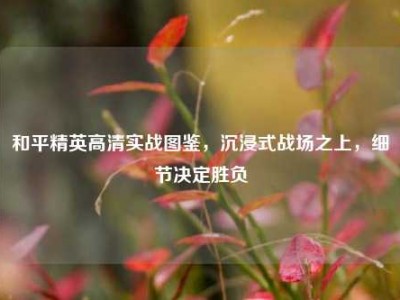 和平精英高清实战图鉴，沉浸式战场之上，细节决定胜负