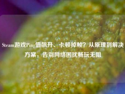 Steam游戏Ping值飙升、卡顿掉帧？从原理到解决方案，告别网络困扰畅玩无阻