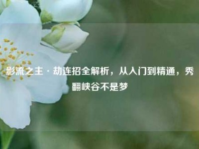 影流之主·劫连招全解析，从入门到精通，秀翻峡谷不是梦