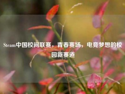 Steam中国校间联赛，青春赛场，电竞梦想的校园新赛道