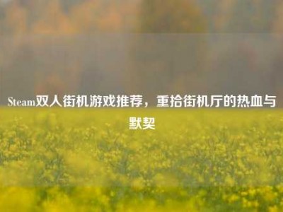Steam双人街机游戏推荐，重拾街机厅的热血与默契