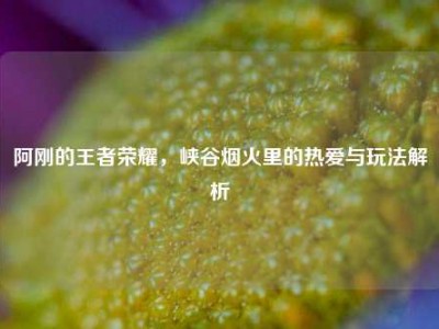 阿刚的王者荣耀，峡谷烟火里的热爱与玩法解析