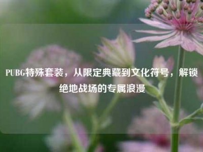 PUBG特殊套装，从限定典藏到文化符号，解锁绝地战场的专属浪漫