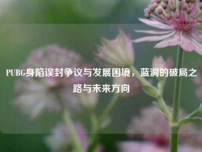PUBG身陷误封争议与发展困境，蓝洞的破局之路与未来方向