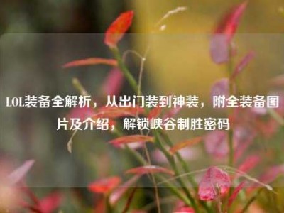 LOL装备全解析，从出门装到神装，附全装备图片及介绍，解锁峡谷制胜密码