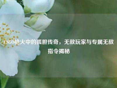 CSGO枪火中的孤胆传奇，无敌玩家与专属无敌指令揭秘