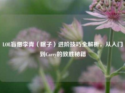 LOL盲僧李青（瞎子）进阶技巧全解析，从入门到Carry的致胜秘籍