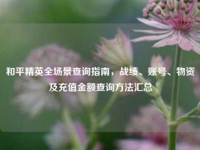 和平精英全场景查询指南，战绩、账号、物资及充值金额查询方法汇总