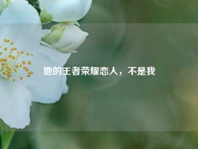 她的王者荣耀恋人，不是我
