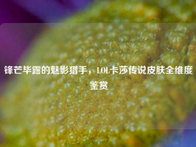 锋芒毕露的魅影猎手，LOL卡莎传说皮肤全维度鉴赏