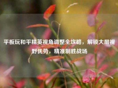 平板玩和平精英视角调整全攻略，解锁大屏视野优势，精准制胜战场