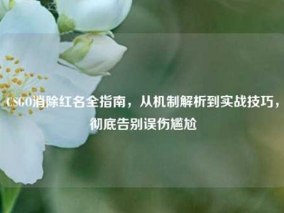 CSGO消除红名全指南，从机制解析到实战技巧，彻底告别误伤尴尬