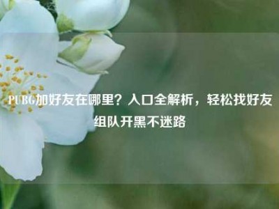 PUBG加好友在哪里？入口全解析，轻松找好友组队开黑不迷路