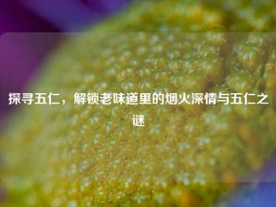 探寻五仁，解锁老味道里的烟火深情与五仁之谜