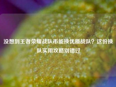 没想到王者荣耀战队币能换优质战队？这份换队实用攻略别错过