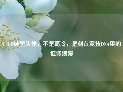 CSGO纯黑头像，不是高冷，是刻在竞技DNA里的低调浪漫