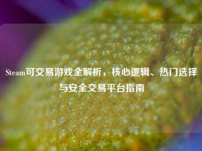 Steam可交易游戏全解析，核心逻辑、热门选择与安全交易平台指南