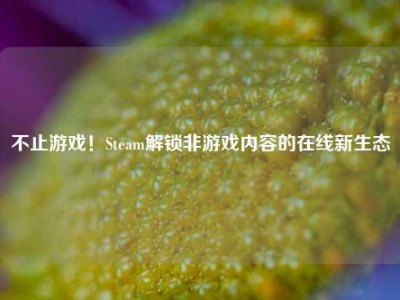 不止游戏！Steam解锁非游戏内容的在线新生态