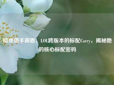 暗夜猎手薇恩，LOL跨版本的标配Carry，揭秘她的核心标配密码