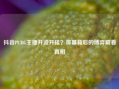 抖音PUBG主播开没开挂？屏幕背后的博弈藏着真相