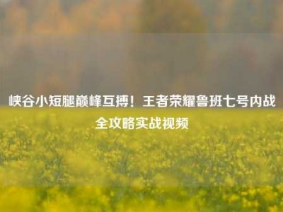 峡谷小短腿巅峰互搏！王者荣耀鲁班七号内战全攻略实战视频