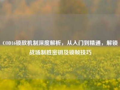 COD16锁敌机制深度解析，从入门到精通，解锁战场制胜密钥及锁帧技巧