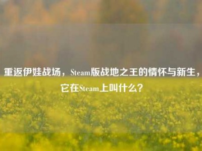 重返伊娃战场，Steam版战地之王的情怀与新生，它在Steam上叫什么？