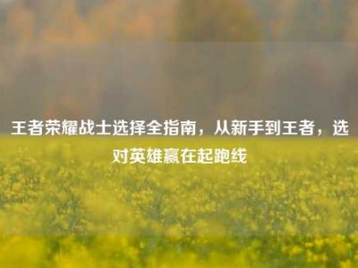 王者荣耀战士选择全指南，从新手到王者，选对英雄赢在起跑线