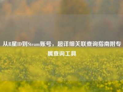 从R星ID到Steam账号，超详细关联查询指南附专属查询工具