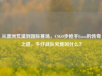从澳洲荒漠到国际赛场，CSGO步枪手Liazz的传奇之路，牛仔战队究竟叫什么？