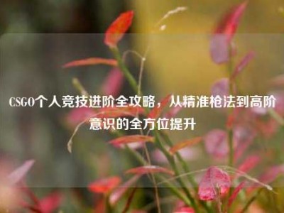 CSGO个人竞技进阶全攻略，从精准枪法到高阶意识的全方位提升