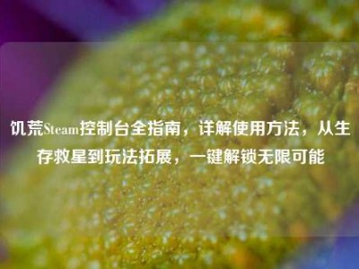 饥荒Steam控制台全指南，详解使用方法，从生存救星到玩法拓展，一键解锁无限可能
