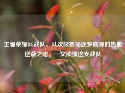 王者荣耀DG战队，从次级赛场逐梦巅峰的热血逆袭之路，一文读懂这支战队
