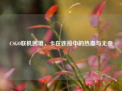 CSGO联机困境，卡在连接中的热血与无奈