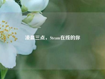 凌晨三点，Steam在线的你
