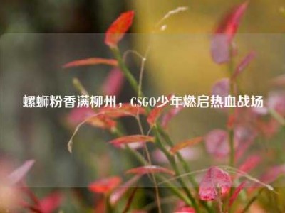 螺蛳粉香满柳州，CSGO少年燃启热血战场
