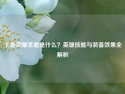 王者荣耀圣盾是什么？英雄技能与装备效果全解析