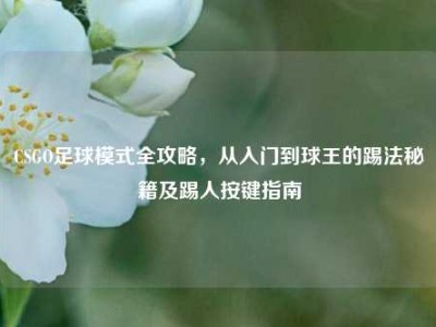 CSGO足球模式全攻略，从入门到球王的踢法秘籍及踢人按键指南