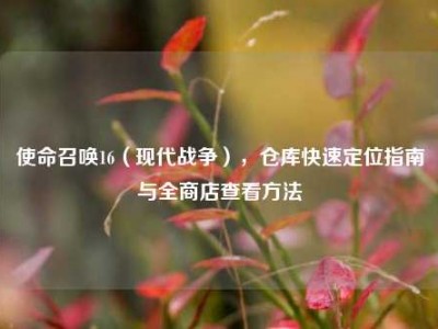 使命召唤16（现代战争），仓库快速定位指南与全商店查看方法