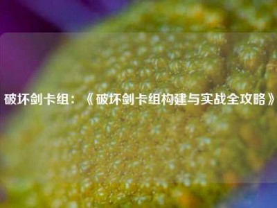 破坏剑卡组：《破坏剑卡组构建与实战全攻略》