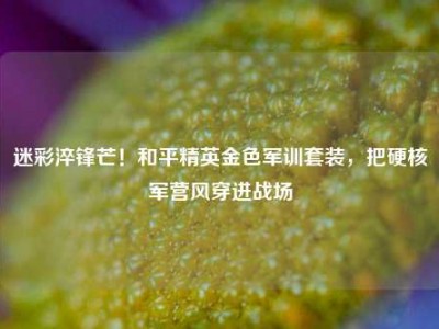 迷彩淬锋芒！和平精英金色军训套装，把硬核军营风穿进战场