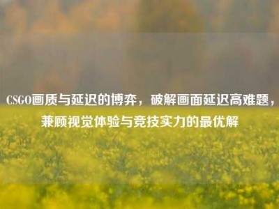 CSGO画质与延迟的博弈，破解画面延迟高难题，兼顾视觉体验与竞技实力的最优解