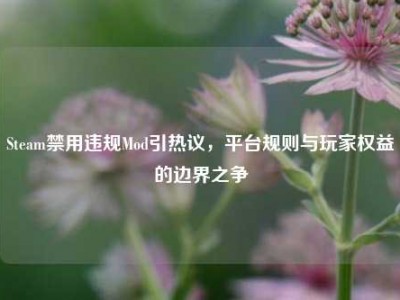 Steam禁用违规Mod引热议，平台规则与玩家权益的边界之争
