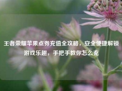 王者荣耀苹果点券充值全攻略，安全便捷解锁游戏乐趣，手把手教你怎么充