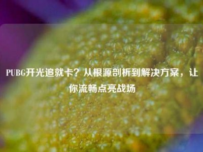 PUBG开光追就卡？从根源剖析到解决方案，让你流畅点亮战场