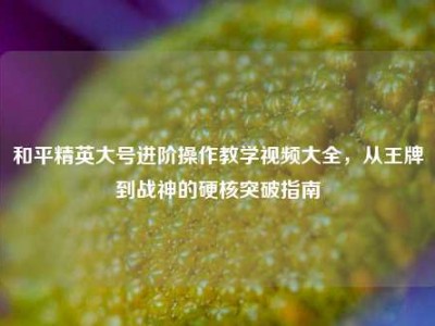 和平精英大号进阶操作教学视频大全，从王牌到战神的硬核突破指南