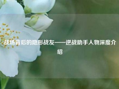 战场背后的隐形战友——逆战助手人物深度介绍