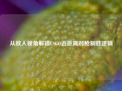 从敌人视角解锁CSGO近距离对枪制胜逻辑