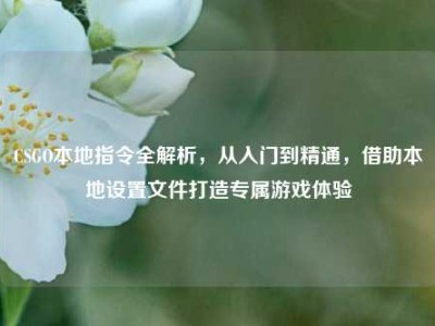 CSGO本地指令全解析，从入门到精通，借助本地设置文件打造专属游戏体验